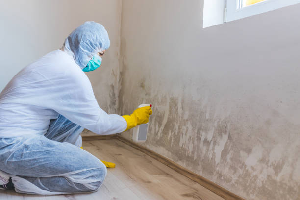 Mold Remediation specialist working in Peapack