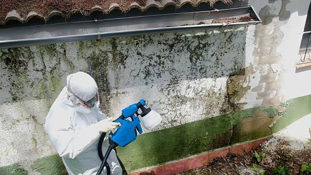 Mold Remediation service in Peapack, Peapack, NJ